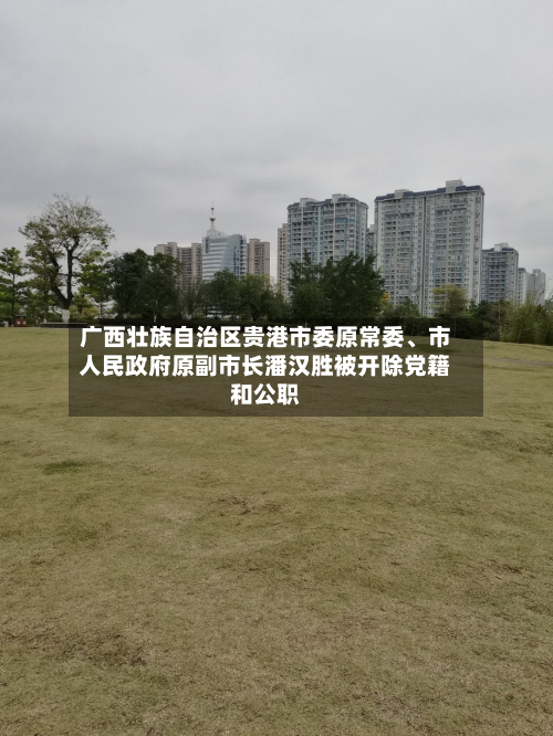 广西壮族自治区贵港市委原常委	、市人民政府原副市长潘汉胜被开除党籍和公职-第2张图片