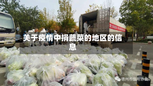 关于疫情中捐蔬菜的地区的信息