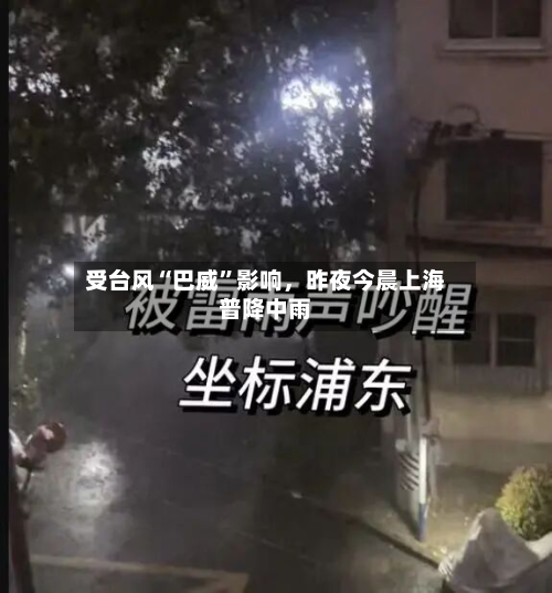 受台风“巴威”影响，昨夜今晨上海普降中雨-第3张图片