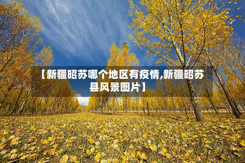 【新疆昭苏哪个地区有疫情,新疆昭苏县风景图片】