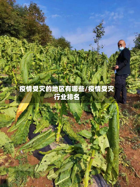 疫情受灾的地区有哪些/疫情受灾行业排名