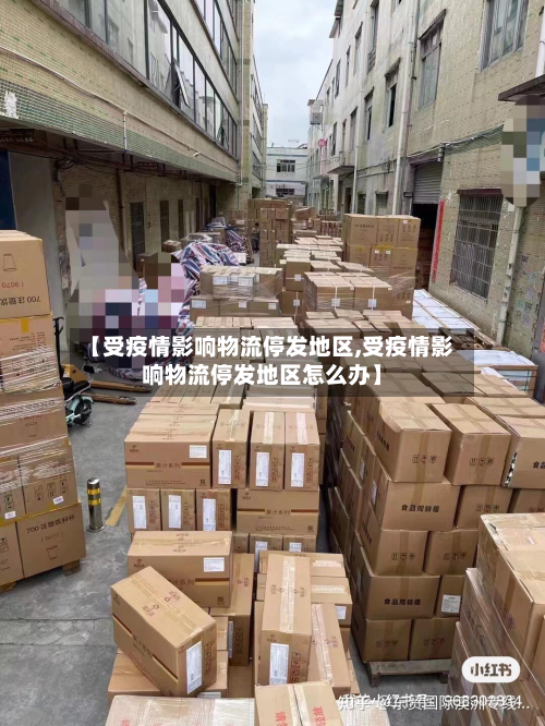 【受疫情影响物流停发地区,受疫情影响物流停发地区怎么办】