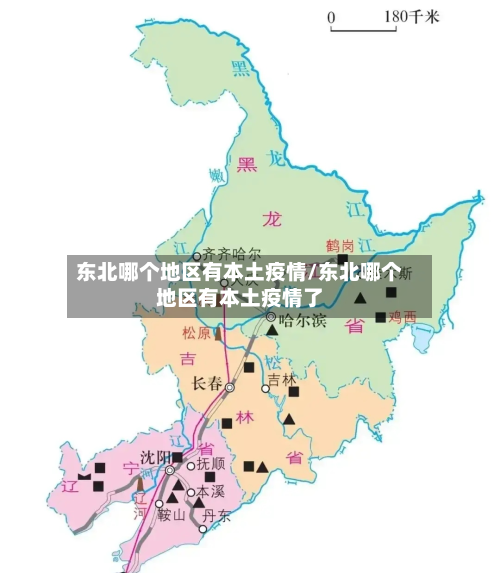东北哪个地区有本土疫情/东北哪个地区有本土疫情了