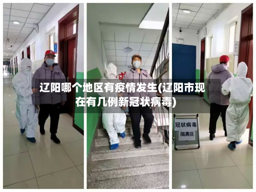 辽阳哪个地区有疫情发生(辽阳市现在有几例新冠状病毒)-第2张图片