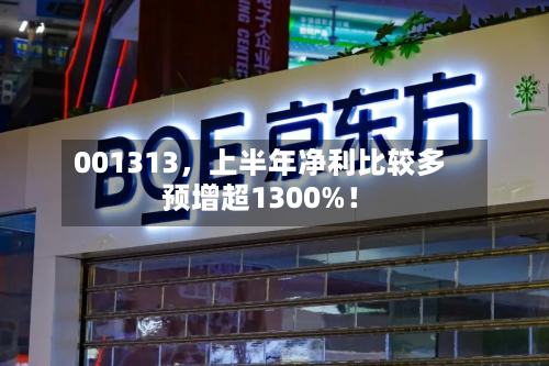 001313，上半年净利比较多预增超1300%！