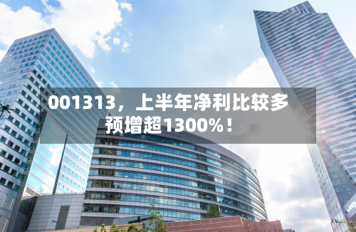 001313，上半年净利比较多预增超1300%！-第3张图片