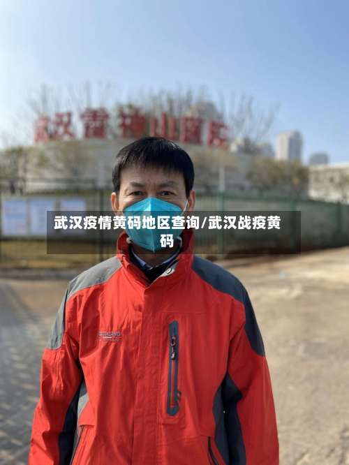 武汉疫情黄码地区查询/武汉战疫黄码