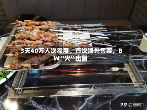 3天40万人次参展	、首次海外售票，BW“火	”出圈-第2张图片