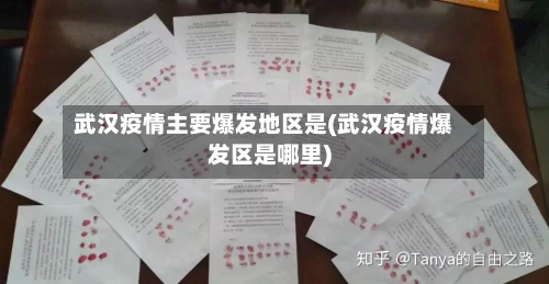 武汉疫情主要爆发地区是(武汉疫情爆发区是哪里)-第2张图片