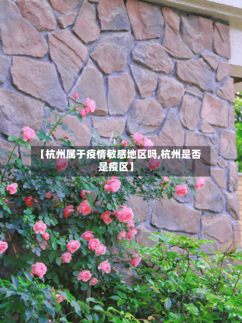 【杭州属于疫情敏感地区吗,杭州是否是疫区】