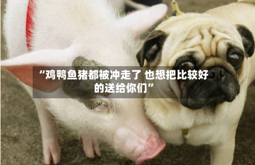 “鸡鸭鱼猪都被冲走了 也想把比较好的送给你们”-第3张图片