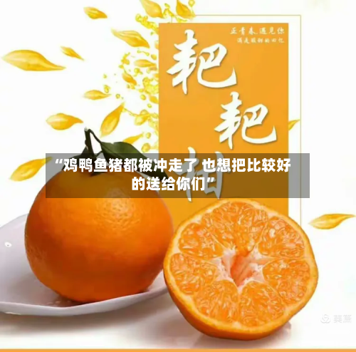 “鸡鸭鱼猪都被冲走了 也想把比较好的送给你们”-第2张图片