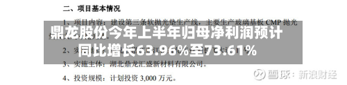 鼎龙股份今年上半年归母净利润预计同比增长63.96%至73.61%