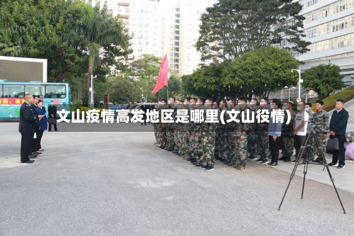 文山疫情高发地区是哪里(文山役情)-第2张图片