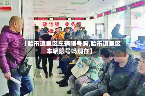 【哈市道里区车辆限号吗,哈市道里区车辆限号吗现在】