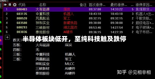 半导体板块低开，至纯科技触及跌停