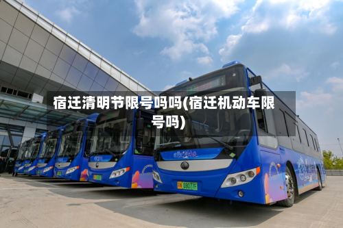 宿迁清明节限号吗吗(宿迁机动车限号吗)-第2张图片
