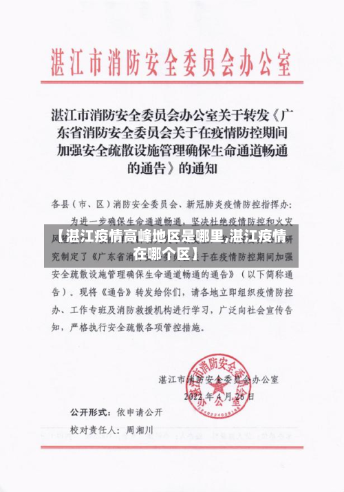 【湛江疫情高峰地区是哪里,湛江疫情在哪个区】
