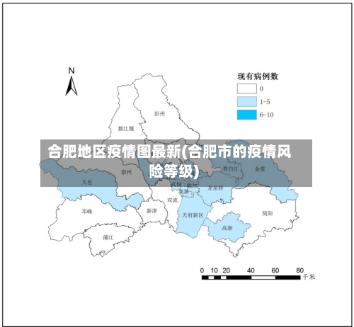 合肥地区疫情图最新(合肥市的疫情风险等级)-第2张图片