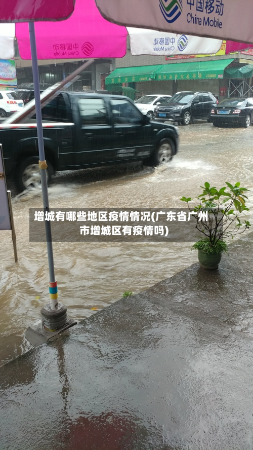 增城有哪些地区疫情情况(广东省广州市增城区有疫情吗)