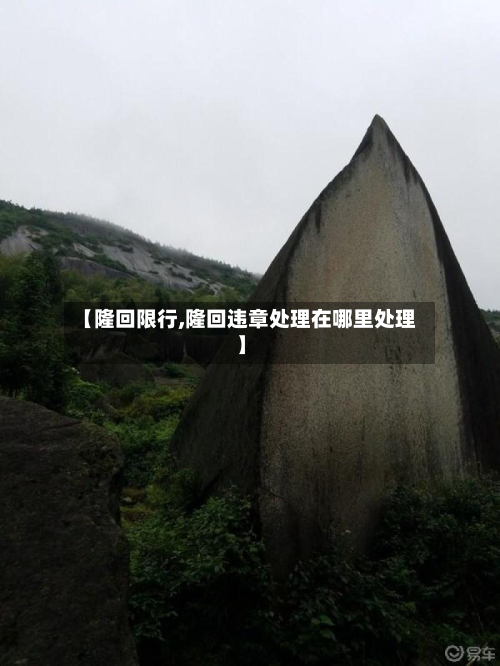 【隆回限行,隆回违章处理在哪里处理】