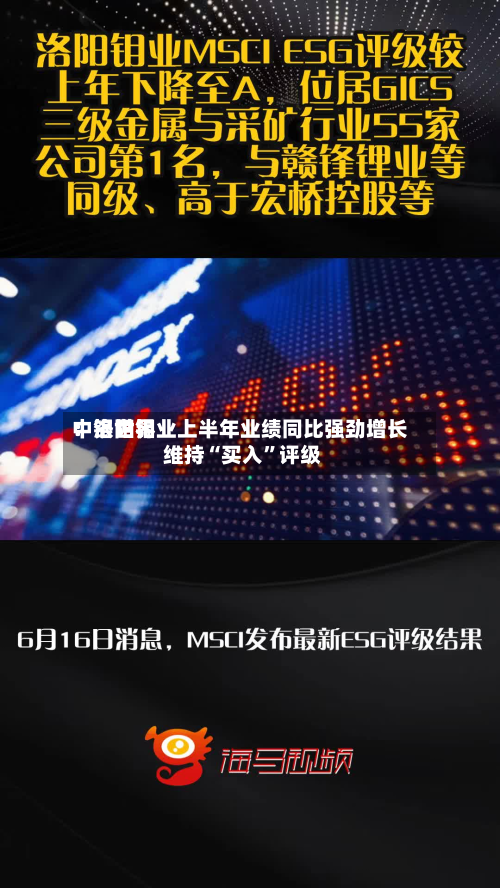 中银世界：洛阳钼业上半年业绩同比强劲增长 维持“买入”评级-第3张图片