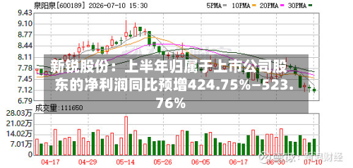 新锐股份：上半年归属于上市公司股东的净利润同比预增424.75%—523.76%-第2张图片