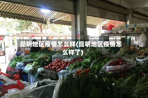 昆明地区疫情怎么样(昆明地区疫情怎么样了)-第2张图片