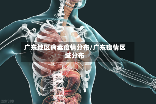 广东地区病毒疫情分布/广东疫情区域分布