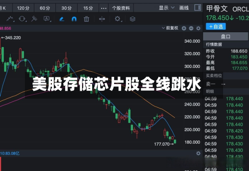 美股存储芯片股全线跳水