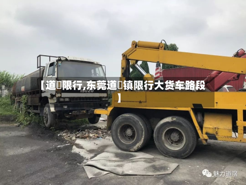 【道滘限行,东莞道滘镇限行大货车路段】