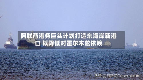 阿联酋港务巨头计划打造东海岸新港口 以降低对霍尔木兹依赖-第2张图片