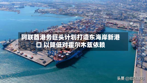 阿联酋港务巨头计划打造东海岸新港口 以降低对霍尔木兹依赖