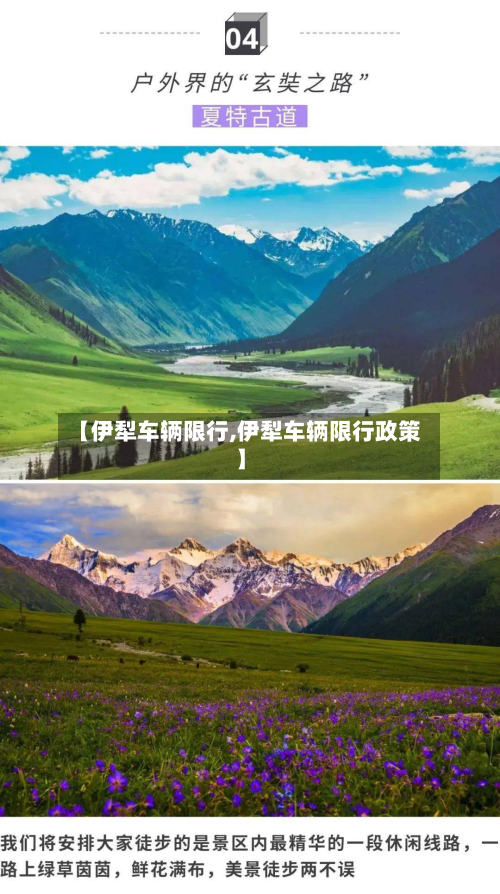 【伊犁车辆限行,伊犁车辆限行政策】