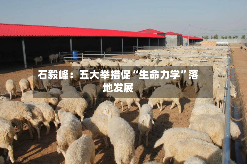 石毅峰：五大举措促“生命力学	”落地发展-第2张图片