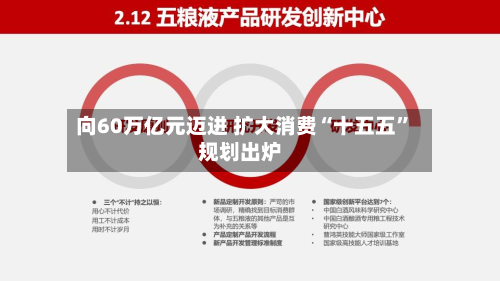 向60万亿元迈进 扩大消费“十五五”规划出炉-第3张图片