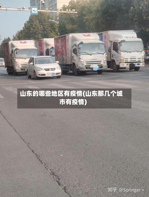 山东的哪些地区有疫情(山东那几个城市有疫情)-第2张图片