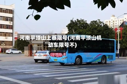 河南平顶山上蔡限号(河南平顶山机动车限号不)-第2张图片