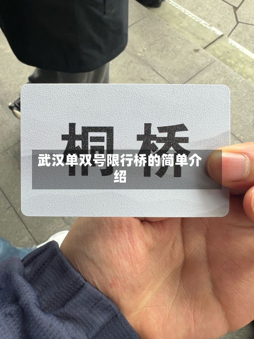 武汉单双号限行桥的简单介绍