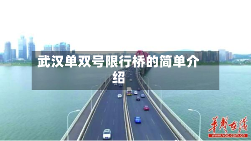 武汉单双号限行桥的简单介绍-第2张图片