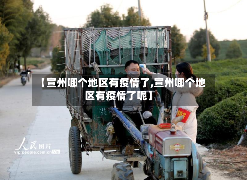 【宣州哪个地区有疫情了,宣州哪个地区有疫情了呢】-第2张图片