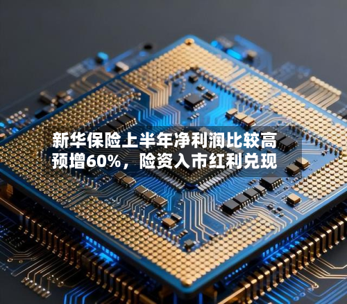 新华保险上半年净利润比较高预增60%	，险资入市红利兑现-第3张图片