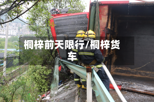 桐梓前天限行/桐梓货车-第3张图片