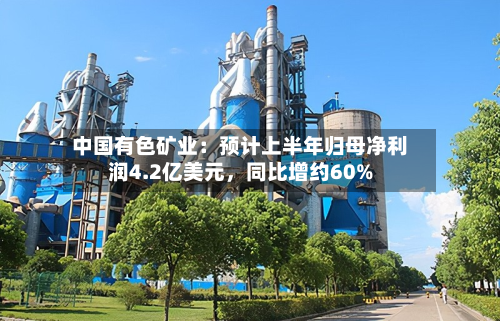 中国有色矿业：预计上半年归母净利润4.2亿美元，同比增约60%-第2张图片