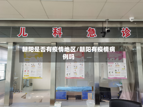 朝阳是否有疫情地区/朝阳有疫情病例吗