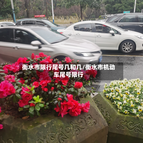 衡水市限行尾号几和几/衡水市机动车尾号限行-第2张图片