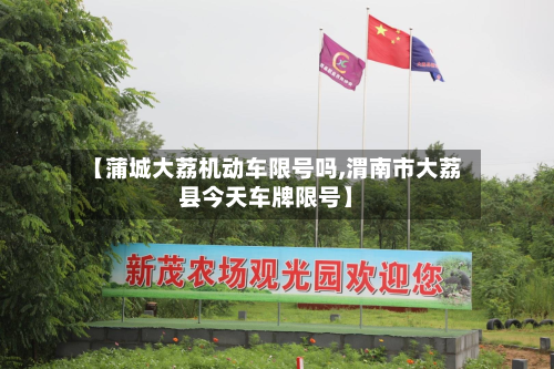 【蒲城大荔机动车限号吗,渭南市大荔县今天车牌限号】-第2张图片