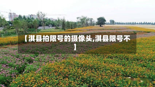【淇县拍限号的摄像头,淇县限号不】-第2张图片