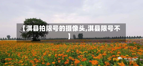 【淇县拍限号的摄像头,淇县限号不】-第3张图片