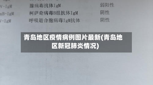 青岛地区疫情病例图片最新(青岛地区新冠肺炎情况)-第2张图片
